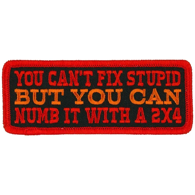 Fashion Design Hot Leathers You Can't Fix Stupid 4" X 2" Patch PPL9996